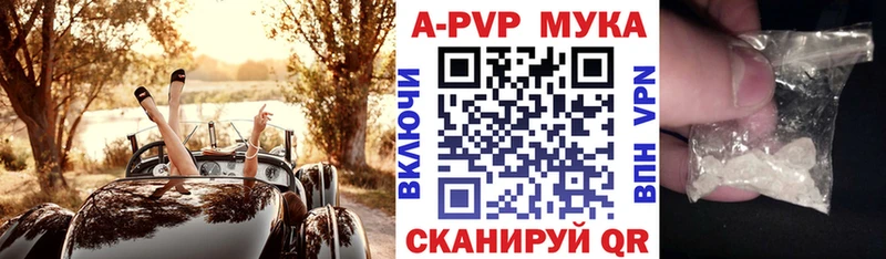 Купить где  Орлов  A PVP крисы CK 