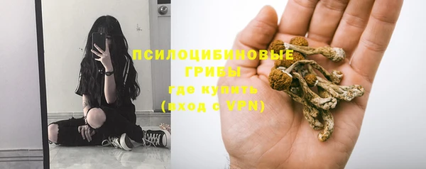 крисы Бронницы