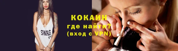 трава Бородино