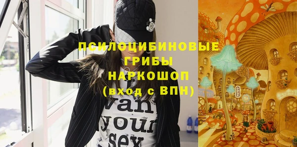 крисы Бронницы