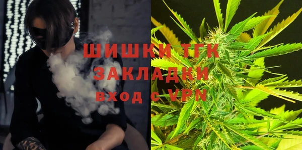 трава Бородино