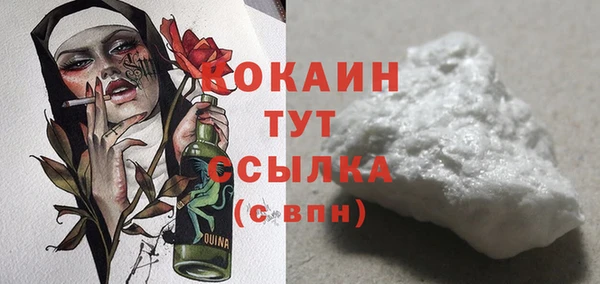 крисы Бронницы