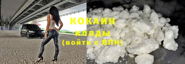 крисы Бронницы