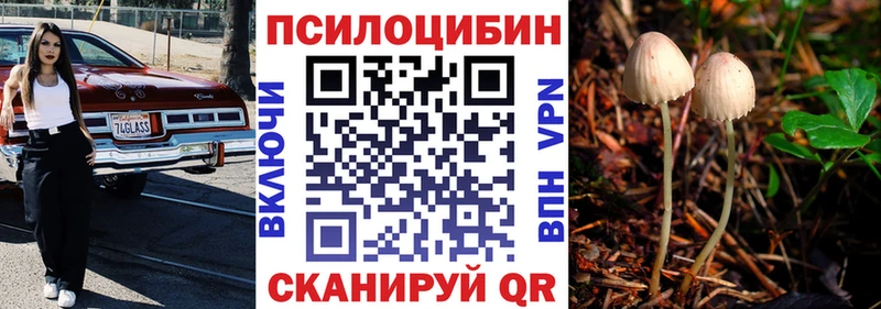 Купить  Орлов  Псилоцибиновые грибы мухоморы 